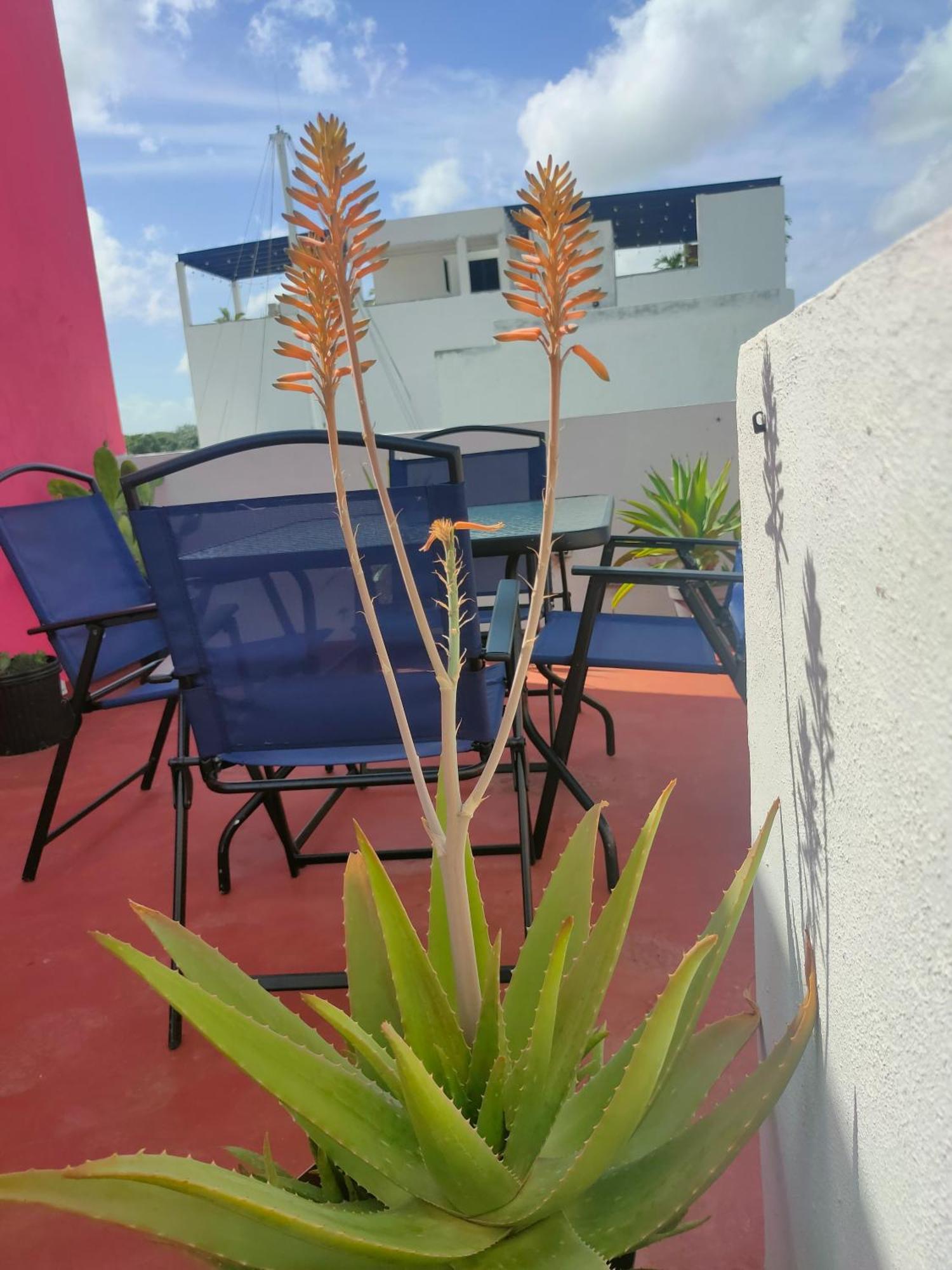 Apartmán Casa Coraza Cancún Exteriér fotografie